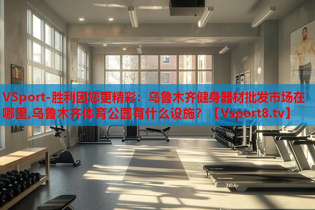 VSport-勝利因您更精彩：烏魯木齊健身器材批發(fā)市場在哪里,烏魯木齊體育公園有什么設(shè)施？